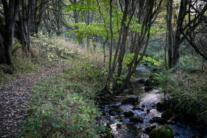 Friends of Gillingshill